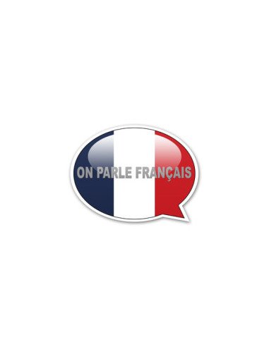 Parler et étudier le français avec un professeur au bord de la piscine dans une famille française