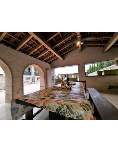 語言交流，發現，和老師一起學習法語，在游泳池附近