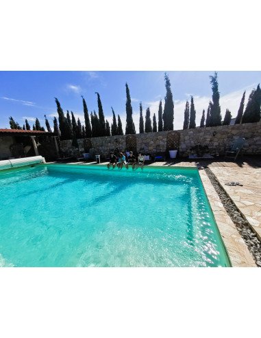 語言交流，發現，和老師一起學習法語，在游泳池附近