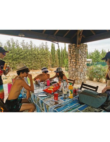 Learn and discover French with a teacher near the pool in South France
