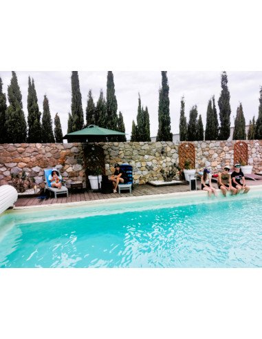 Parler et étudier le français avec un professeur au bord de la piscine dans une famille française