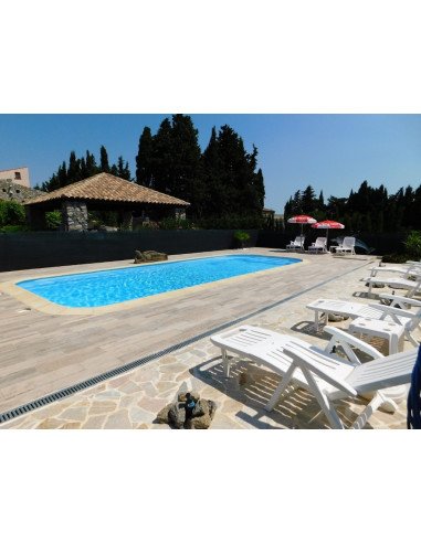 Parler et étudier le français avec un professeur au bord de la piscine dans une famille française